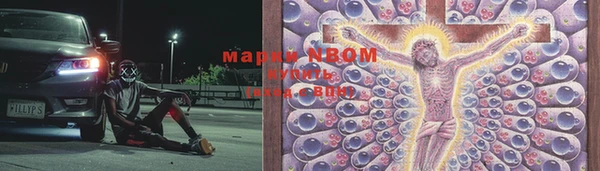 apvp Алзамай