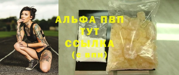 дмт Алексин