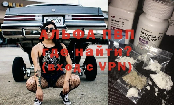 apvp Алзамай