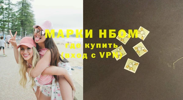дмт Алексин