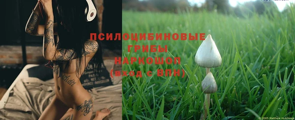 дмт Алексин