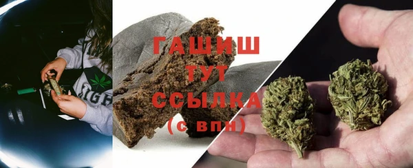 дмт Алексин